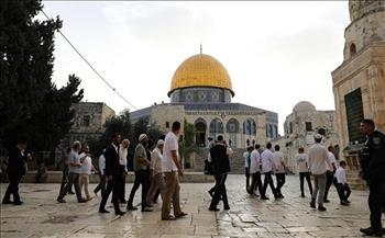  Zionist settlers storm Al-Aqsa Mosque