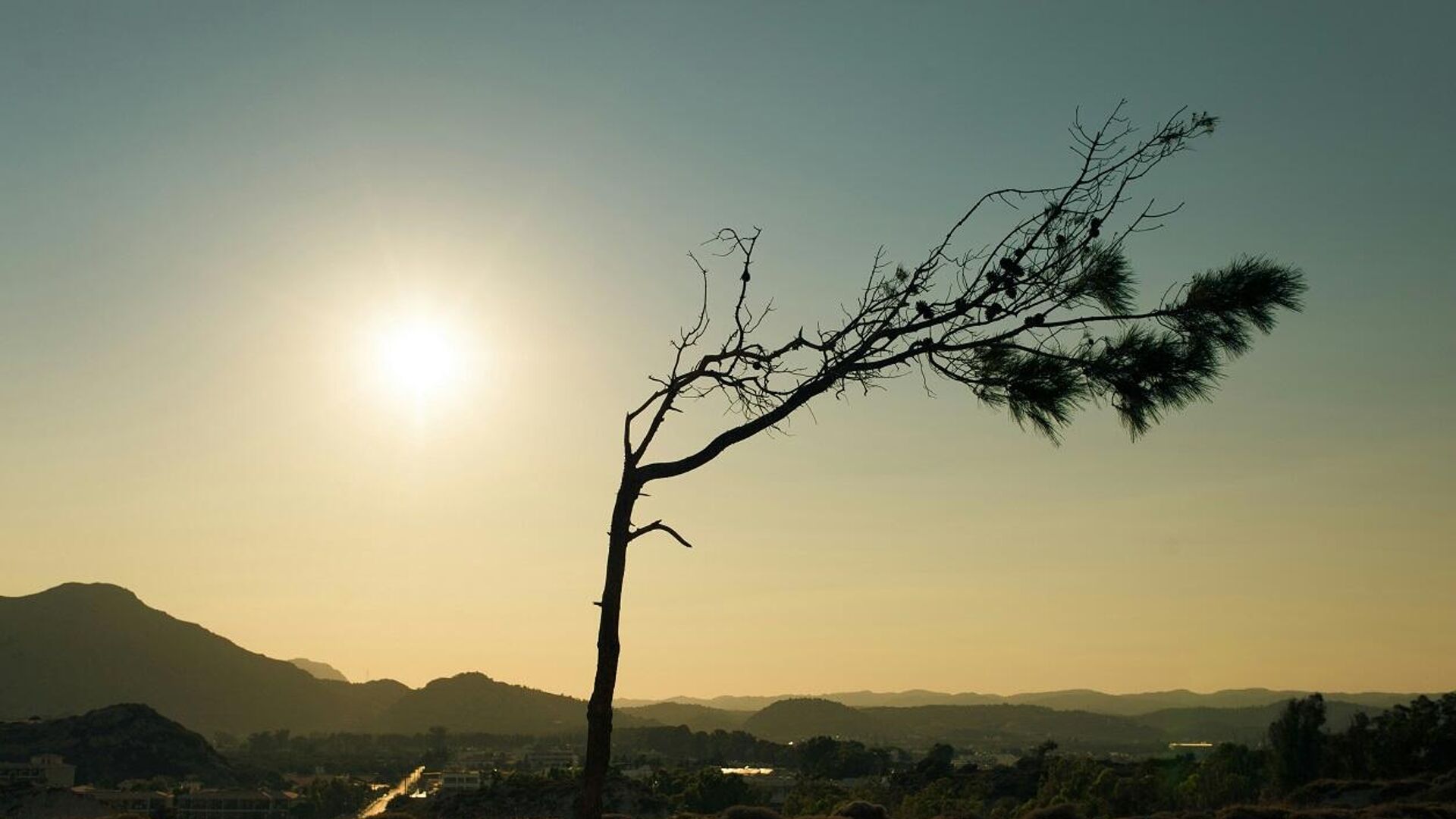 Extreme heat threatens heart disease in Australia