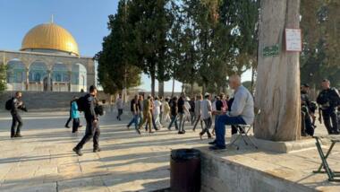 Settlers storm courtyards of al-Aqsa