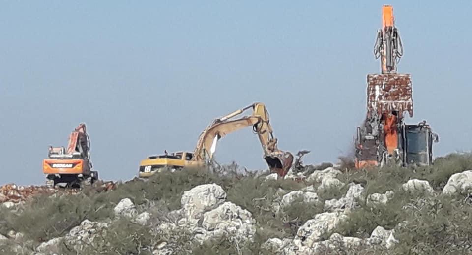 Los colonos sionistas arrasan la tierra y arrancan 80 árboles en el oeste de Salfit.