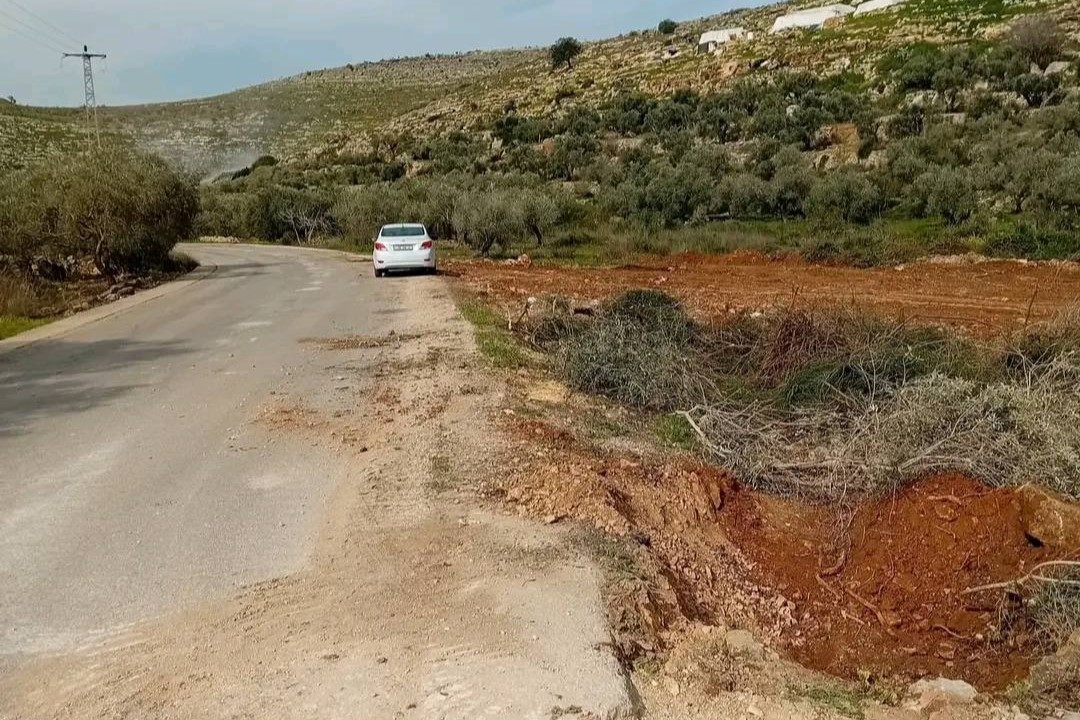 Zionist settlers bulldoze dozens of dunams of land in Palestine