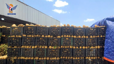 Lancement de la saison de production de pommes de terre et introduction dans les industries manufacturières à Amran