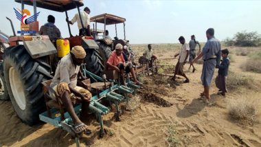 Culture de plus de nouveaux vastes territoires dans le district de Marawah à Hodeidah achevée