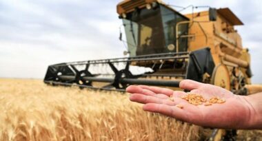 روسيا تسعى لتصدير 50 مليون طن من الحبوب في الموسم المقبل
