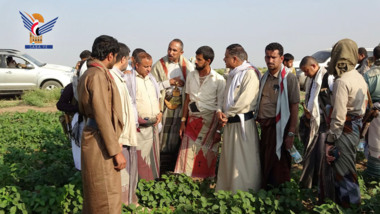 وزير الزراعة ومحافظ الحديدة يتفقدان مزارع محصول 