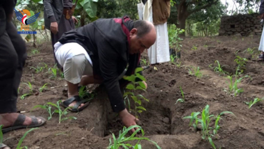 Die Einweihung der Pflanzung von 70.000 Kaffeesetzlingen im Wadi Anah in Al-Odayn, Ibb