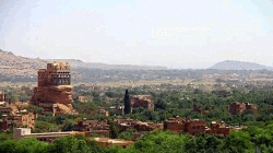 Visite effectuée sur le terrain pour sensibiliser à la prévention de l'abattage des jeunes et des femelles de bétail à Sanhan, Sanaa