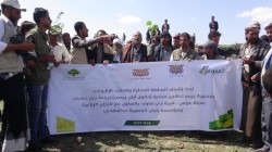 Initiative pour planter 25 000 plants inaugurée à Jabal Hamis,  Ibb