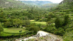 Journée sur le terrain sur la gestion intégrée des serres dans le district de Jeblah, Ibb, organisée