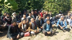 Une Journée champêtre à Ibb dans le domaine de l'amélioration de la culture et de la production de café