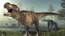 العثور على أحفورة ديناصور في الصين يعود تاريخها لما قبل 125 مليون سنة