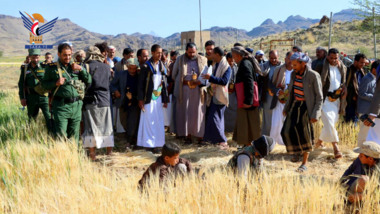 تدشين حصاد عدد من المحاصيل الزراعية بمشتل اليافعية بجحانة