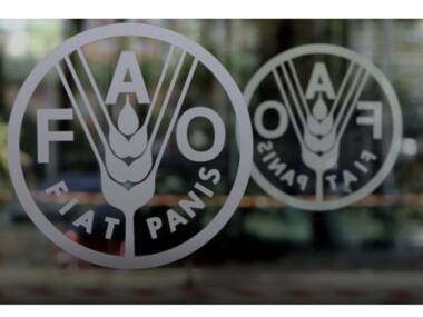 FAO: Los precios mundiales de los alimentos básicos aumentaron ligeramente en junio