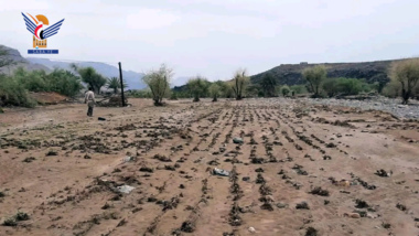 De fortes pluies causent des dommages aux fermes des citoyens, des biens de Marib