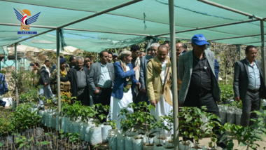 La saison de reboisement et l'ouverture de plusieurs projets agricoles inaugurée à Ibb