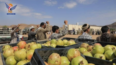 صعدة.. قافلتان للمرابطين في الجبهات بذكرى المولد النبوي الشريف