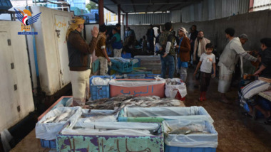 Le ''marché central du poisson'' en gros à Ibb inspecté