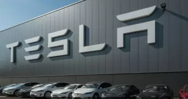 Malasia: Campaña de boicotear contra Tesla por posturas pro-Trump de Musk