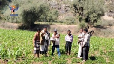 تعز .. مناقشة جوانب تعزيز النشاط الزراعي بمديرية ماوية