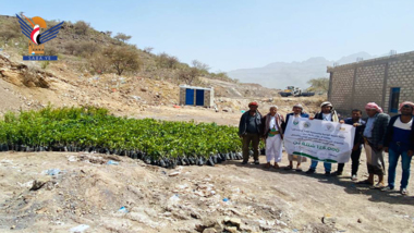 2000 plants de café aux agriculteurs du district de Jubban distribués à Dhalea