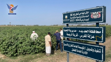 يوم حقلي لمزارعي القطن في مديريتي زبيد والتحيتا بالحديدة