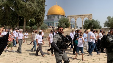 قطعان المستوطنين الصهاينة يقتحمون باحات المسجد الأقصى بحماية شرطة العدو