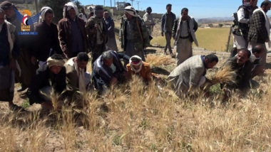 Les activités agricoles dans le district de Sabah à  Bayda inspectées