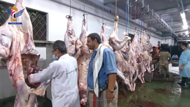 Maßnahmen zur Gesundheitskontrolle von Opfertieren und zum Schutz des Viehbestands in Hodeidah