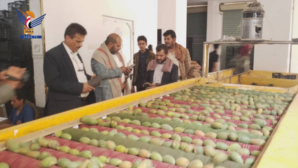L'adjoint du gouverneur de Sanaa inspecte le fonctionnement de la Corporation de production et de commercialisation agricoles Al-Fath