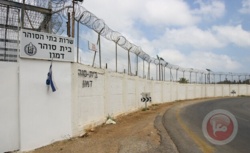 هيئة الأسرى الفلسطينية تكشف حقائق عن الأسيرات في سجن الدامون الصهيوني