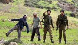 إصابة ثلاثة فلسطينيين في هجوم جديد للمستوطنين على سنجل شمال رام الله