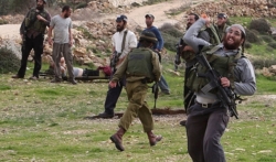  إصابة ثلاثة فلسطينيين برصاص مستوطنين في حزما وآخرين بالضرب في مسافر يطا