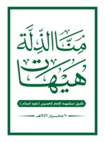 اللجنة المنظمة للفعاليات تحدد الساحات النسائية بالمحافظات لإحياء عاشوراء