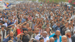 تعز: 71 راهپیمایی گسترده، در حمایت مستمر از غزه و مقابله با تجاوز صهیونیستی علیه این ملت را تأیید می‌کند