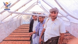 محافظ الحديدة يدشّن موسم حصاد التمور ومشروع التجفيف بمديرية التحيتا
