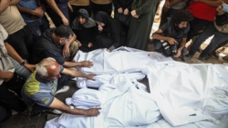 مركز حقوقي بغزة: مقتل 375 فلسطينيا في ثلاثة أيام بتصعيد صهيوني متسارع