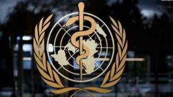 الصحة العالمية تحذر من تفشي فيروس شلل الأطفال في غزة