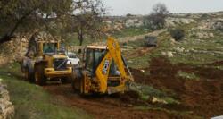 Settlers plow citizens' lands planted with winter crops in Masafer Yatta